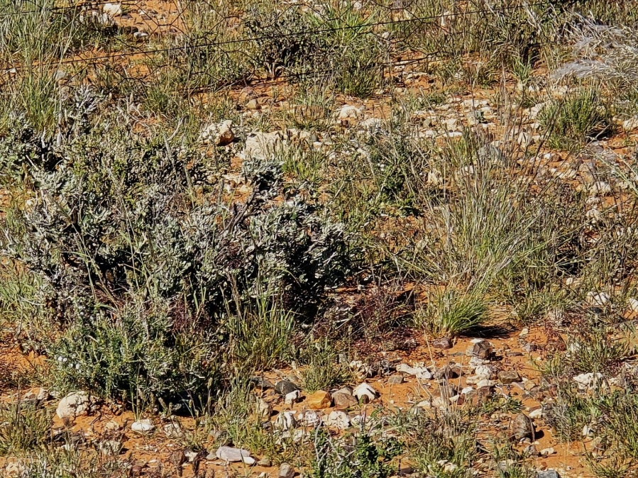 Commercial Property for Sale in Upington Rural Northern Cape